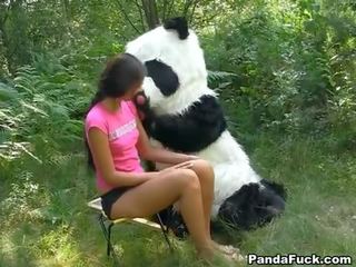 Suaugusieji filmas į as miškai su a didžiulis žaislas panda